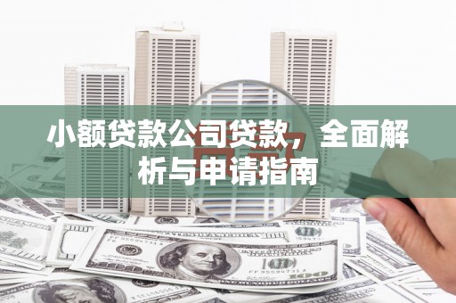 南郊小额贷款公司贷款，全面解析与申请指南