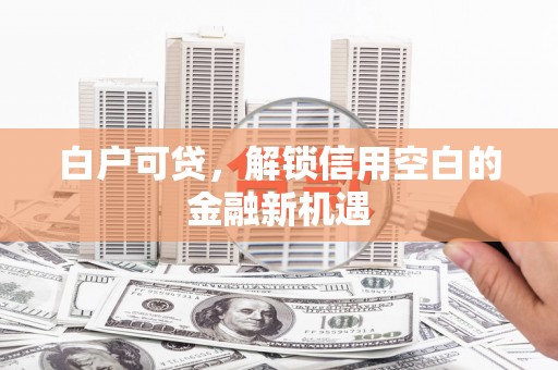 南郊白户可贷，解锁信用空白的金融新机遇