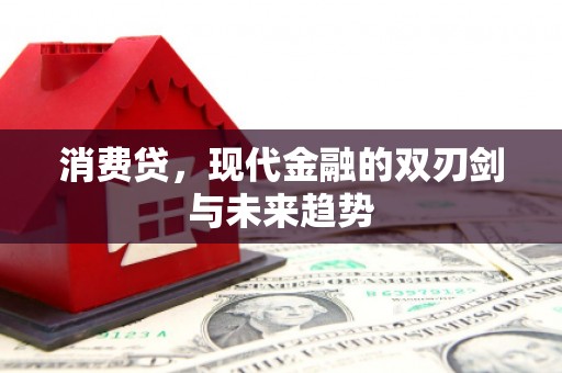 南郊消费贷，现代金融的双刃剑与未来趋势