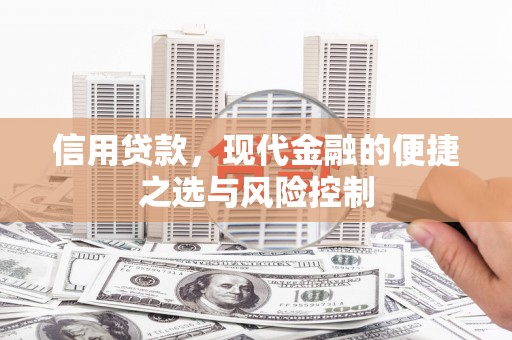 南郊信用贷款，现代金融的便捷之选与风险控制