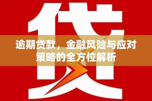 南郊逾期贷款，金融风险与应对策略的全方位解析