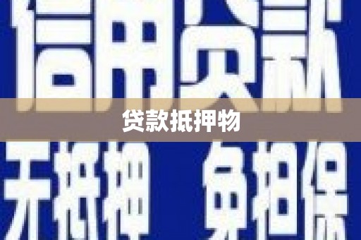 南郊贷款抵押物