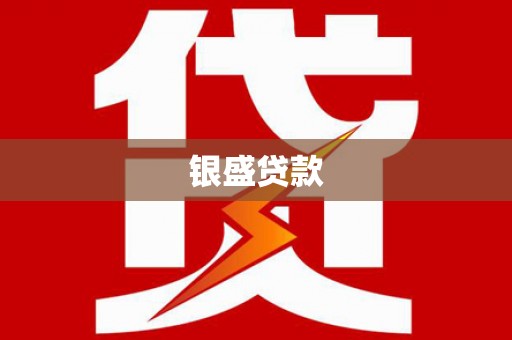 南郊银盛贷款
