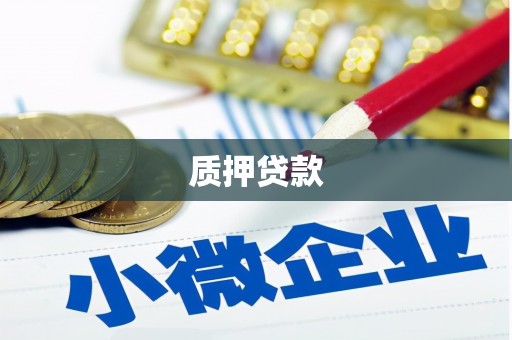 南郊质押贷款