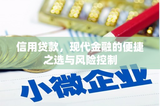南郊信用贷款，现代金融的便捷之选与风险控制