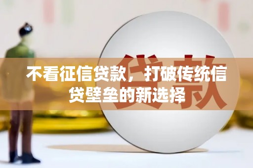 南郊不看征信贷款，打破传统信贷壁垒的新选择
