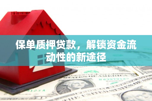 南郊保单质押贷款，解锁资金流动性的新途径