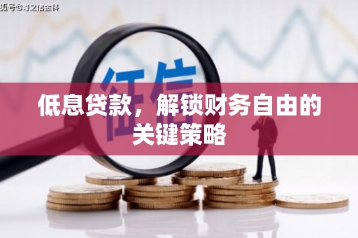 南郊低息贷款，解锁财务自由的关键策略