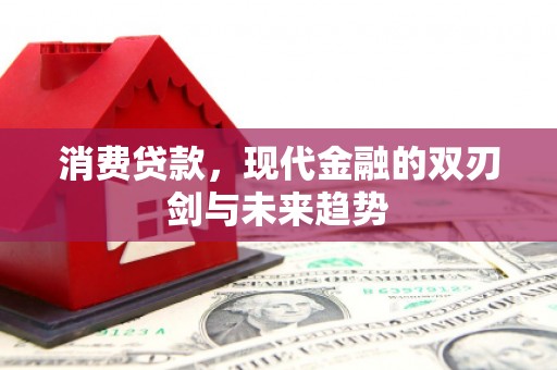 南郊消费贷款，现代金融的双刃剑与未来趋势