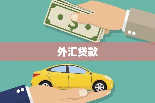 南郊外汇贷款