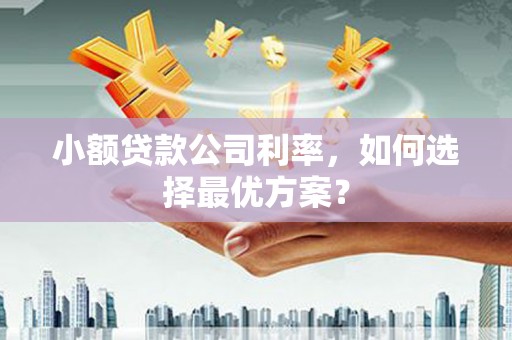 南郊小额贷款公司利率，如何选择最优方案？