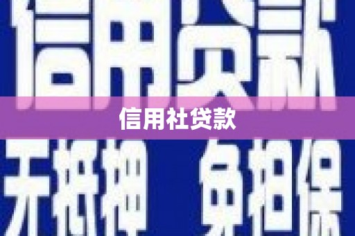 南郊信用社贷款