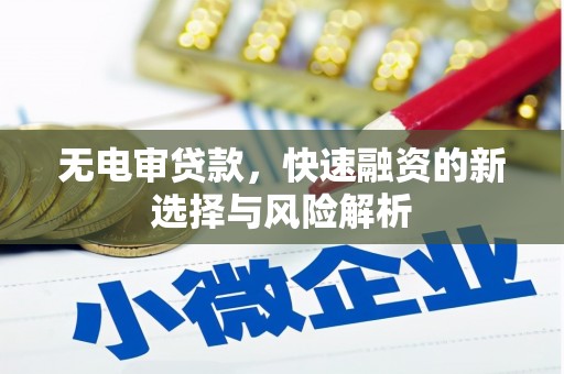 南郊无电审贷款，快速融资的新选择与风险解析