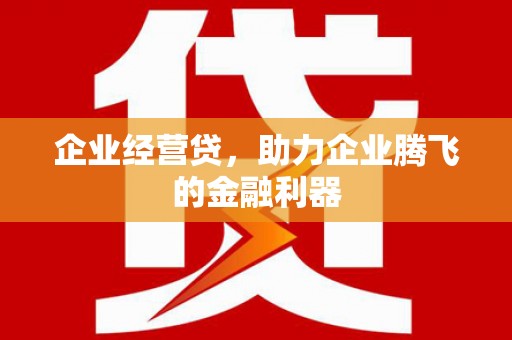 南郊企业经营贷，助力企业腾飞的金融利器