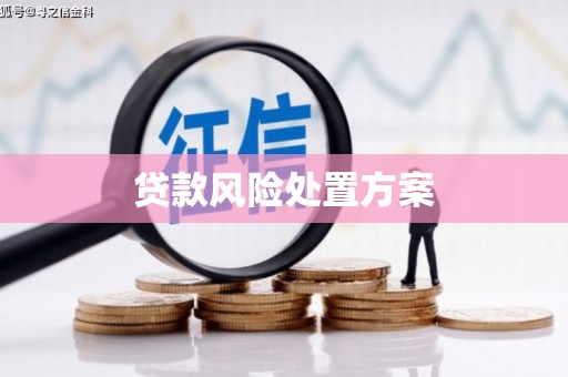 南郊贷款风险处置方案