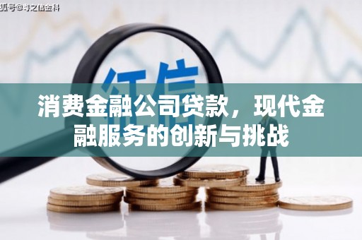 南郊消费金融公司贷款，现代金融服务的创新与挑战