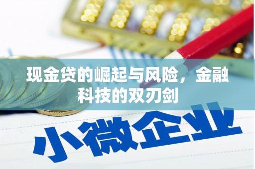 南郊现金贷的崛起与风险，金融科技的双刃剑