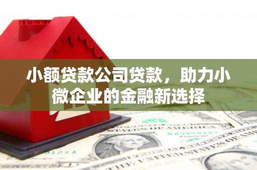 南郊小额贷款公司贷款，助力小微企业的金融新选择