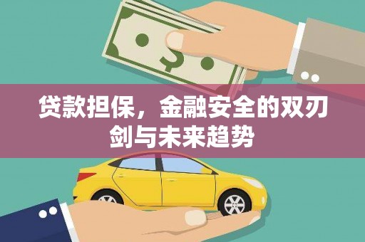 南郊贷款担保，金融安全的双刃剑与未来趋势