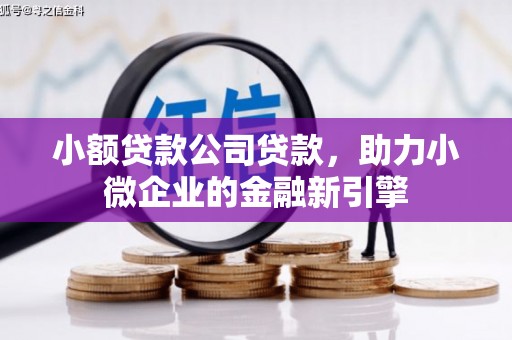 南郊小额贷款公司贷款，助力小微企业的金融新引擎