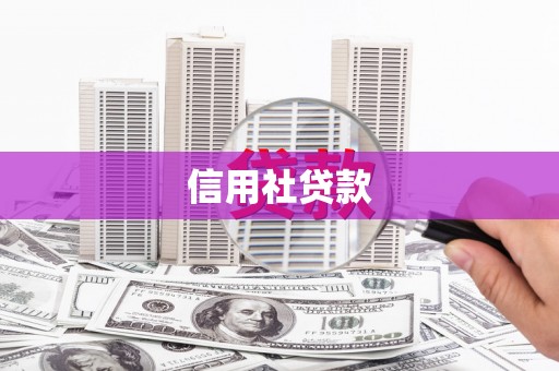 南郊信用社贷款