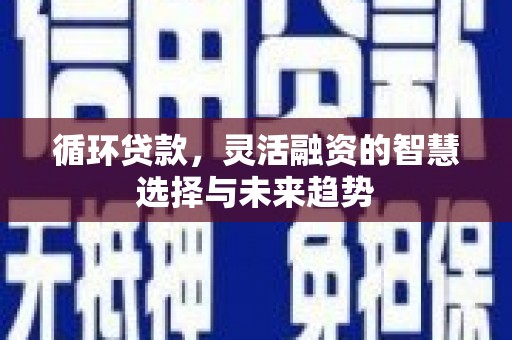 南郊循环贷款，灵活融资的智慧选择与未来趋势