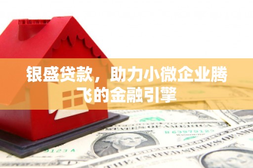 南郊银盛贷款，助力小微企业腾飞的金融引擎