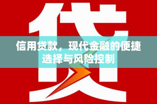 南郊信用贷款，现代金融的便捷选择与风险控制