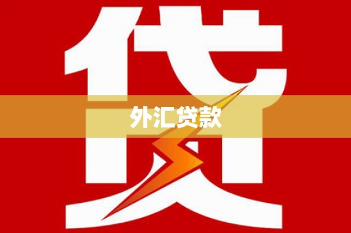 南郊外汇贷款