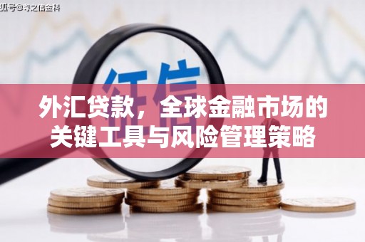 南郊外汇贷款，全球金融市场的关键工具与风险管理策略