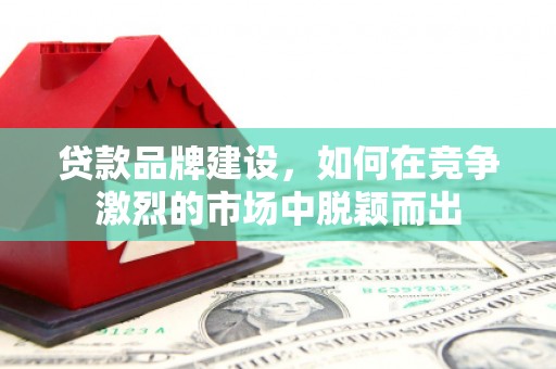 南郊贷款品牌建设，如何在竞争激烈的市场中脱颖而出