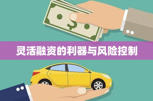 南郊灵活融资的利器与风险控制