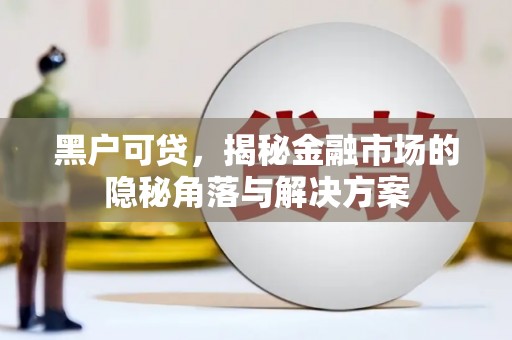 南郊黑户可贷，揭秘金融市场的隐秘角落与解决方案