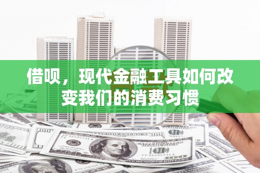 南郊借呗，现代金融工具如何改变我们的消费习惯