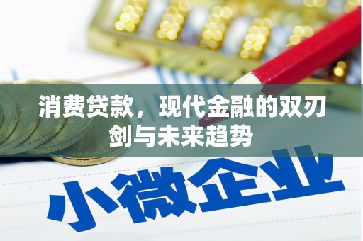南郊消费贷款，现代金融的双刃剑与未来趋势