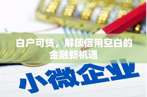 南郊白户可贷，解锁信用空白的金融新机遇
