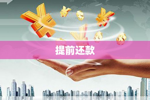 南郊提前还款