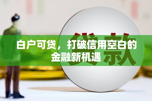 南郊白户可贷，打破信用空白的金融新机遇