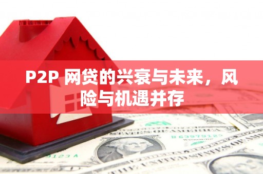 南郊P2P 网贷的兴衰与未来，风险与机遇并存