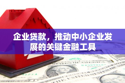 南郊企业贷款，推动中小企业发展的关键金融工具