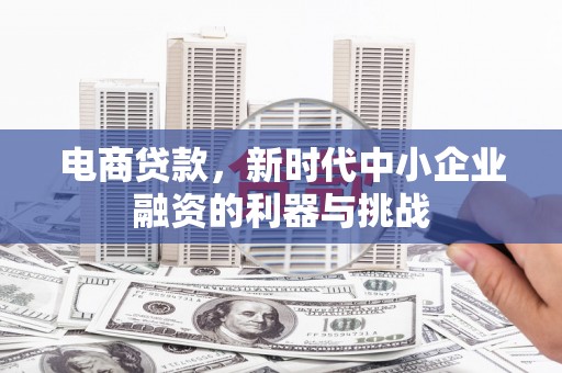 南郊电商贷款，新时代中小企业融资的利器与挑战