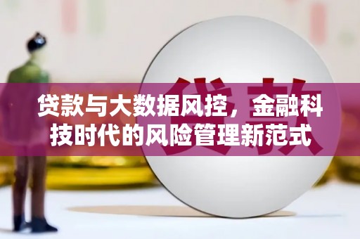 南郊贷款与大数据风控，金融科技时代的风险管理新范式