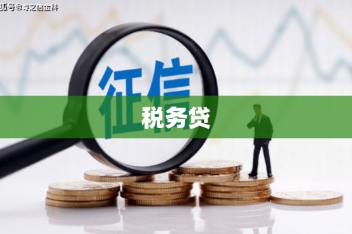 南郊税务贷