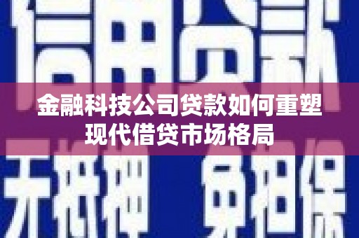 南郊金融科技公司贷款如何重塑现代借贷市场格局