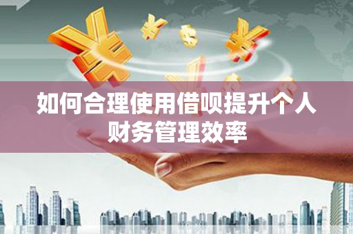 南郊如何合理使用借呗提升个人财务管理效率