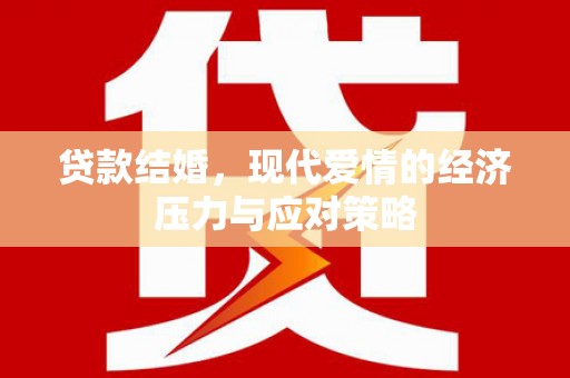 南郊贷款结婚，现代爱情的经济压力与应对策略