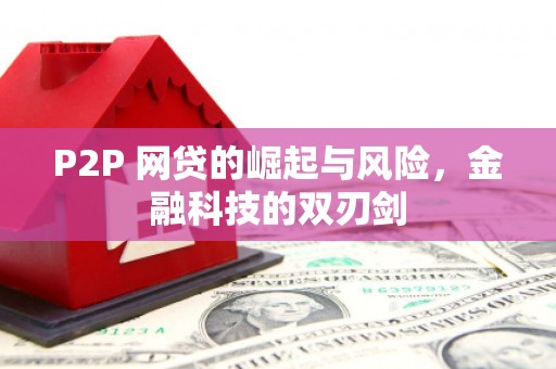 南郊P2P 网贷的崛起与风险，金融科技的双刃剑