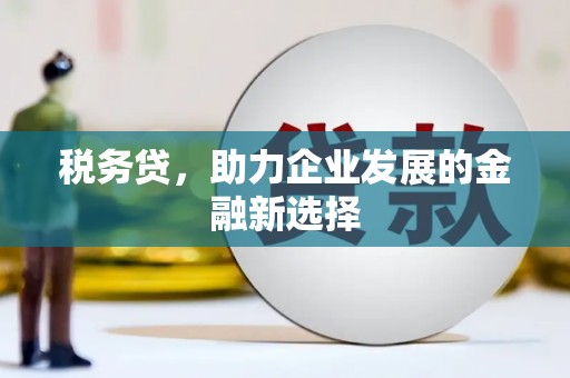 南郊税务贷，助力企业发展的金融新选择