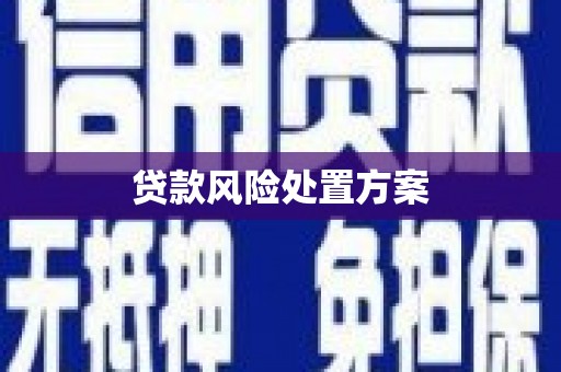 南郊贷款风险处置方案