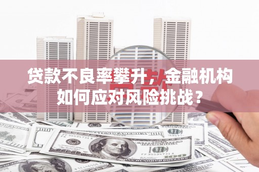 南郊贷款不良率攀升，金融机构如何应对风险挑战？
